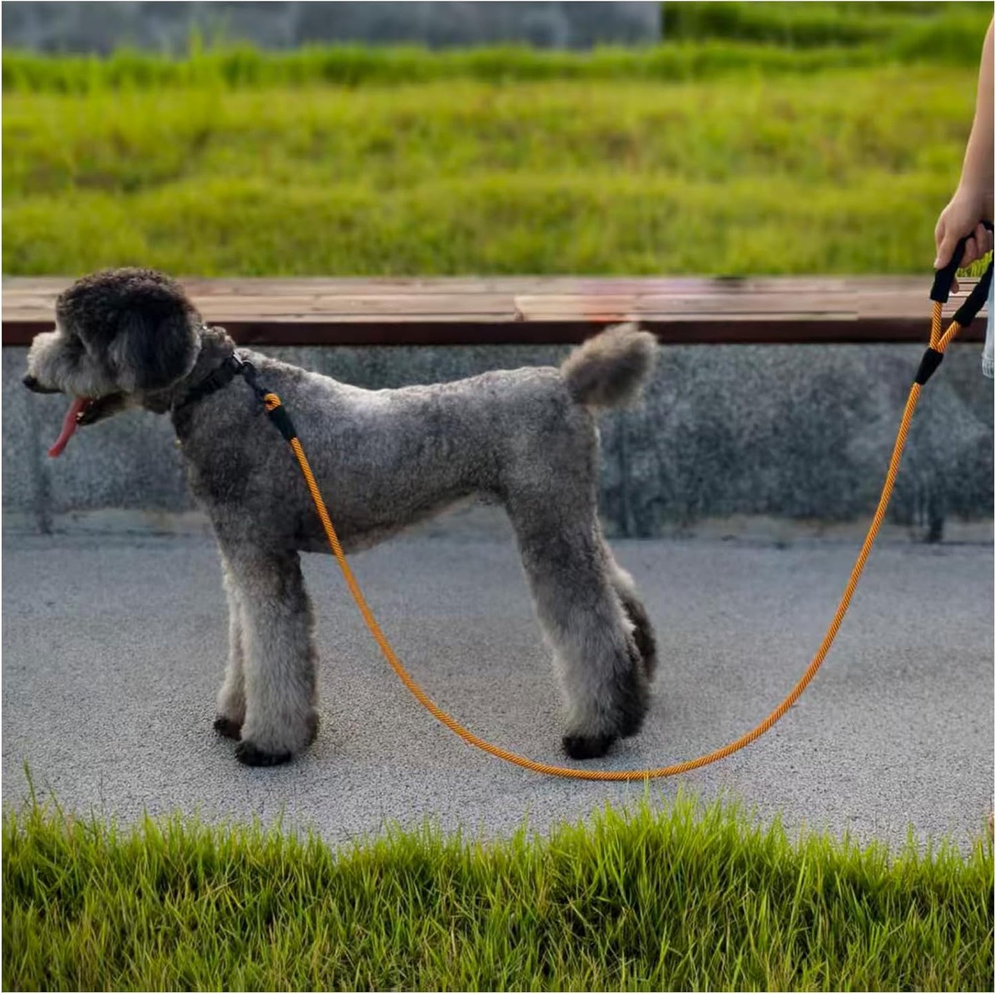 Heavy Duty Rope Dog Leash, Nylon Pet Leash, Soft Padded Handle Thick Lead Leashes