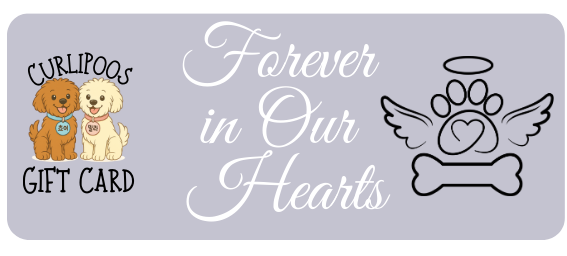 Forever in Our Hearts Gift Card
