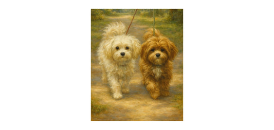 Why Does My Dog Bark on Walks? (And What You Can Do About It)