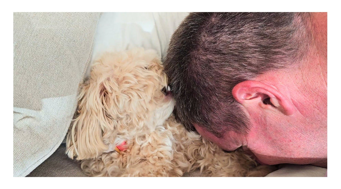 Your Dog’s Secret Love Language? Hair Nibbling!