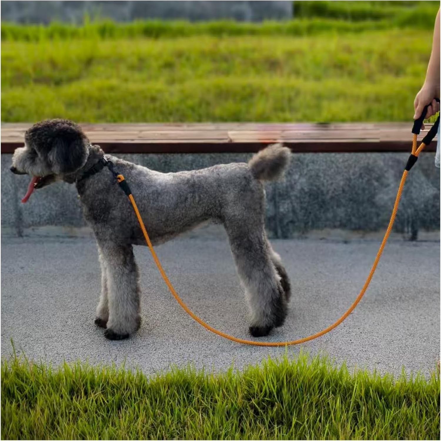 Heavy Duty Rope Dog Leash, Nylon Pet Leash, Soft Padded Handle Thick Lead Leashes