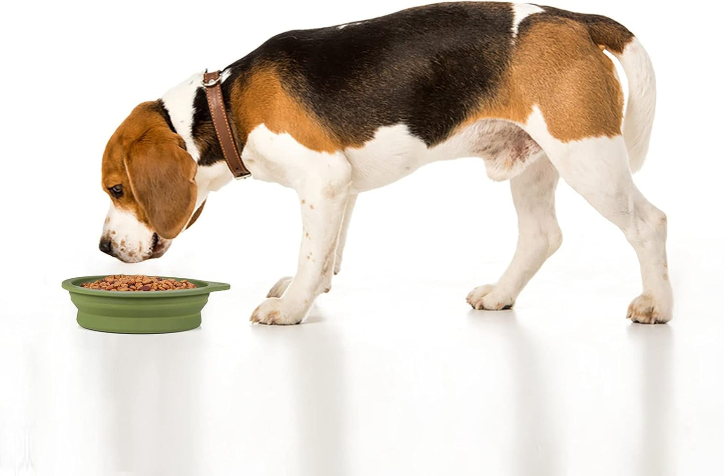 2-Pack Collapsible Dog Bowls – 600ml Travel Pet Feeding Bowls with Integrated Mold Design, No Plastic Rim 