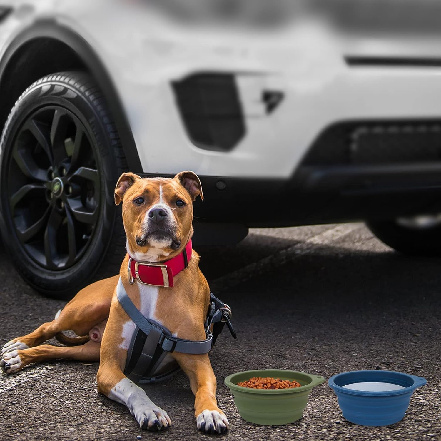 2-Pack Collapsible Dog Bowls – 600ml Travel Pet Feeding Bowls with Integrated Mold Design, No Plastic Rim 