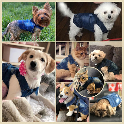 Cool Dog Jean Jacket Small Puppy Outfits Frenchie Clothes Denim Coats for Small Medium Dogs Cats Boys Girls Pet Vest Dog Shirt Clothing Doggy Costume (Blue, Xs（Suggest 2-4 Lbs）)